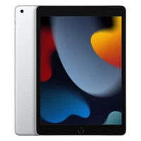 Apple iPad 9th Gen 256GB WiFi (Silver)