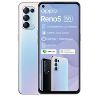OPPO Reno5 5G Dual SIM (Silver)