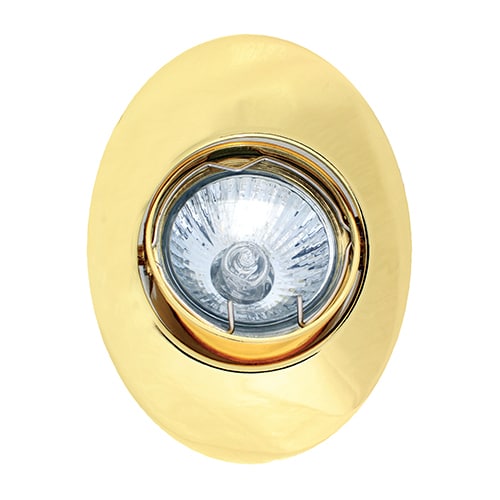 Eurolux Tilt Oval Down Light Polished Brass