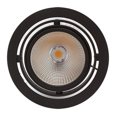 Radiant Downlight Led Adjustable Special For Bread Energy Saving
